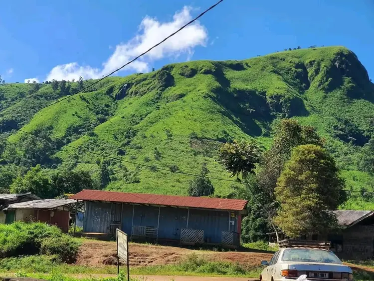 Palace Hill